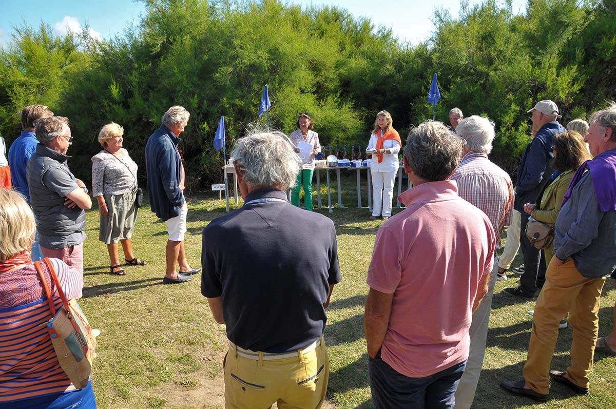 Coupe_Agence_Noury_1.8.2021_Ruthardt (25)