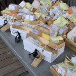 Coupe_Bien-etre_2025-07-27_Foto_Ruthardt (18)