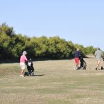 Dites-le-avec-des-fleurs_2025-08-24_Ruthardt (03)