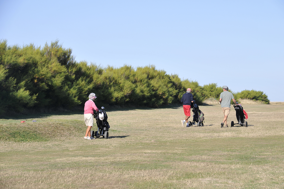 Dites-le-avec-des-fleurs_2025-08-24_Ruthardt (03)