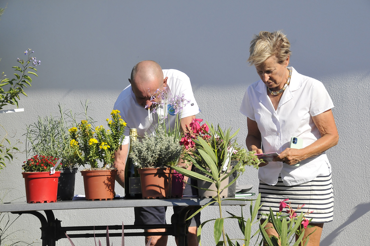 Dites-le-avec-des-fleurs_2025-08-24_Ruthardt (11)