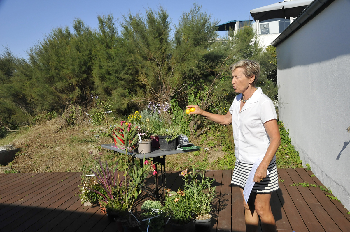 Dites-le-avec-des-fleurs_2025-08-24_Ruthardt (12)