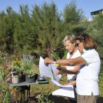 Dites-le-avec-des-fleurs_2025-08-24_Ruthardt (15)