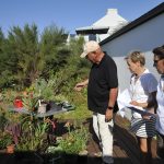 Dites-le-avec-des-fleurs_2025-08-24_Ruthardt (16)