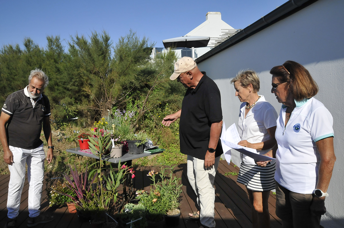 Dites-le-avec-des-fleurs_2025-08-24_Ruthardt (16)