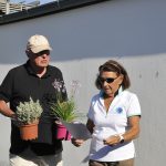 Dites-le-avec-des-fleurs_2025-08-24_Ruthardt (18)