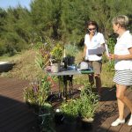 Dites-le-avec-des-fleurs_2025-08-24_Ruthardt (20)