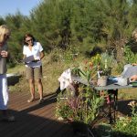 Dites-le-avec-des-fleurs_2025-08-24_Ruthardt (21)