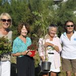 Dites-le-avec-des-fleurs_2025-08-24_Ruthardt (23)