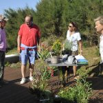 Dites-le-avec-des-fleurs_2025-08-24_Ruthardt (24)