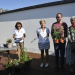 Dites-le-avec-des-fleurs_2025-08-24_Ruthardt (26)