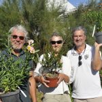 Dites-le-avec-des-fleurs_2025-08-24_Ruthardt (28)