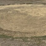 Coupe_Agence_Noury_2026-08-02_Ruthardt (136)