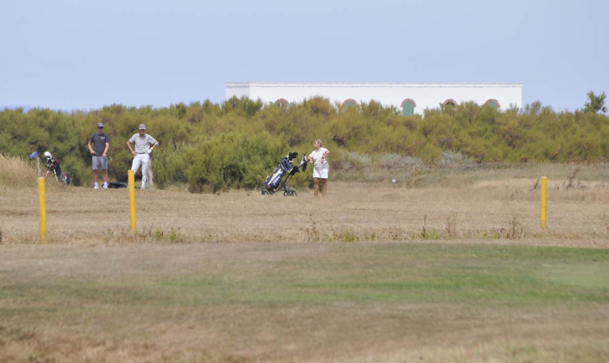 Coupe_Agence_Noury_2026-08-02_Ruthardt (18)