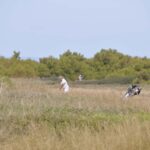 Coupe_Agence_Noury_2026-08-02_Ruthardt (20)