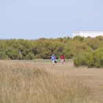 Coupe_Agence_Noury_2026-08-02_Ruthardt (30)