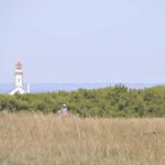 Coupe_Agence_Noury_2026-08-02_Ruthardt (31)