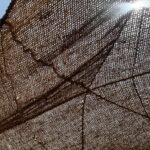Coupe_des_Restaurateurs_2026-08-16_Ruthardt (21)
